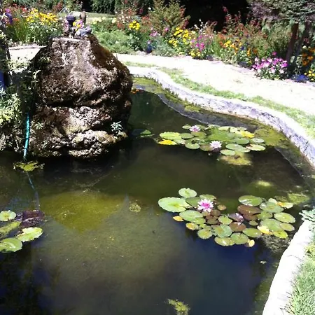 Au Fond De La Cour Bed & Breakfast Veyre-Monton
